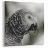 Elegant African Grey Parrot Wall Art - Monochrome Parrot Canvas Print