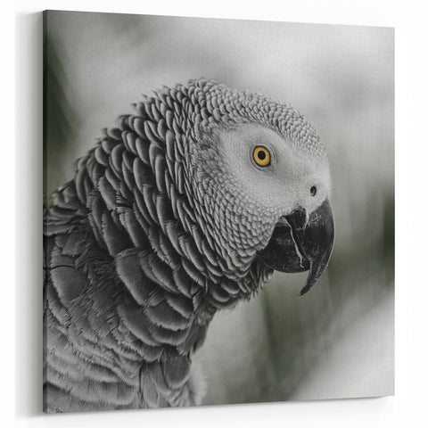 Elegant African Grey Parrot Wall Art - Monochrome Parrot Canvas Print