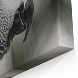 Elegant African Grey Parrot Wall Art - Monochrome Parrot Canvas Print