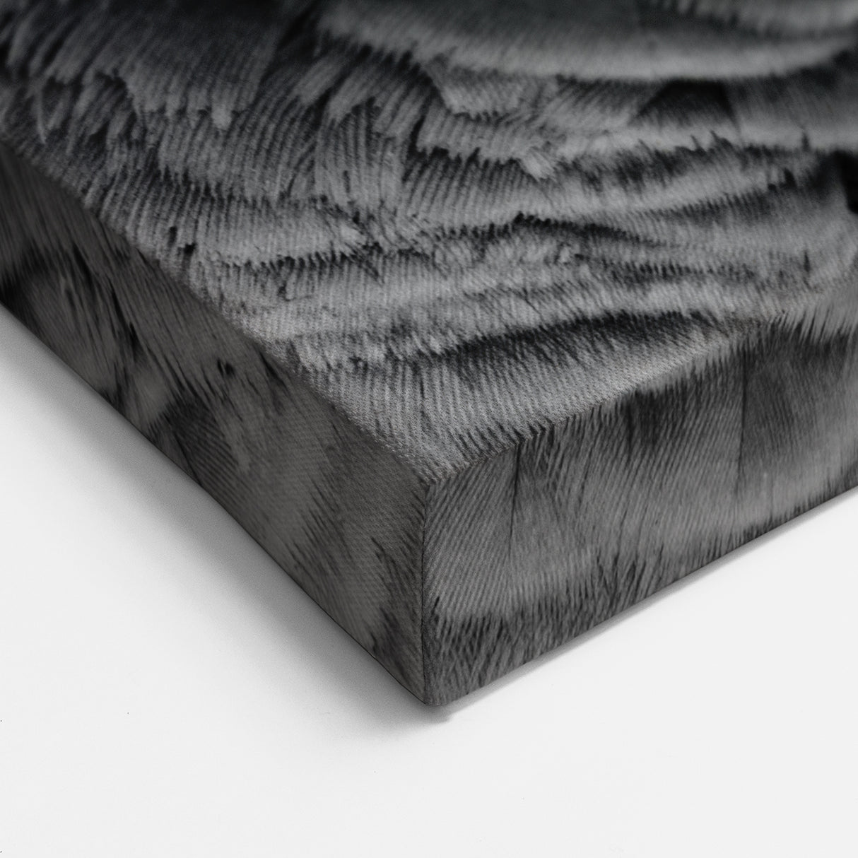 Elegant African Grey Parrot Wall Art - Monochrome Parrot Canvas Print