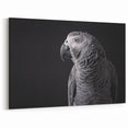 Sleek African Grey Parrot Wall Art - Monochrome Parrot Canvas Print