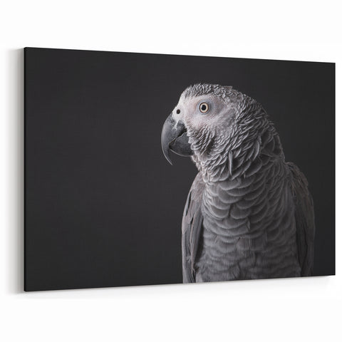 Sleek African Grey Parrot Wall Art - Monochrome Parrot Canvas Print