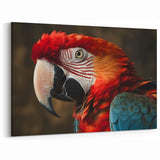 Majestic Scarlet Macaw Wall Art - Bold Parrot Canvas Print Decor