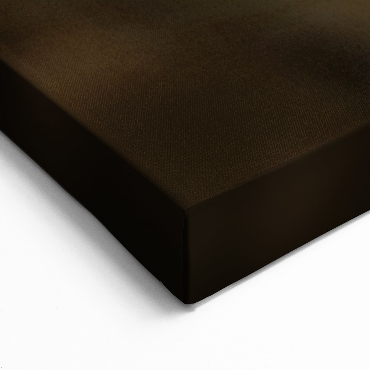 Majestic Scarlet Macaw Wall Art - Bold Parrot Canvas Print Decor