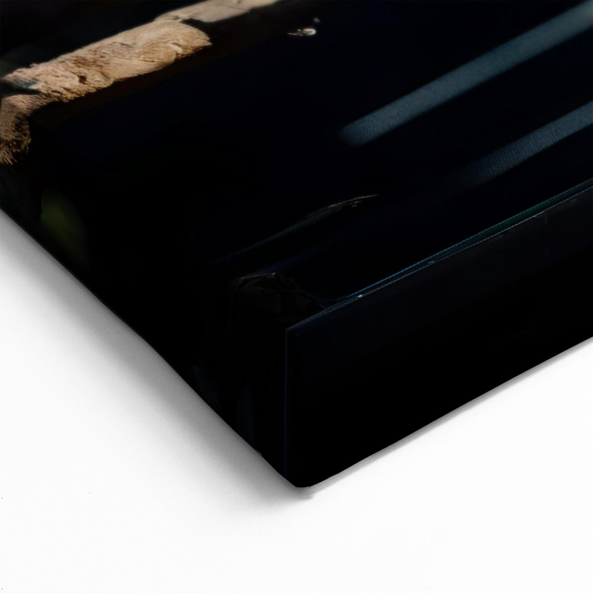 Vibrant Parrot Flock Wall Art - Tropical Parrot Canvas Print Decor