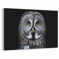 Wise Owl Wall Art - Stunning Owl Photography Canvas & Framed Prints