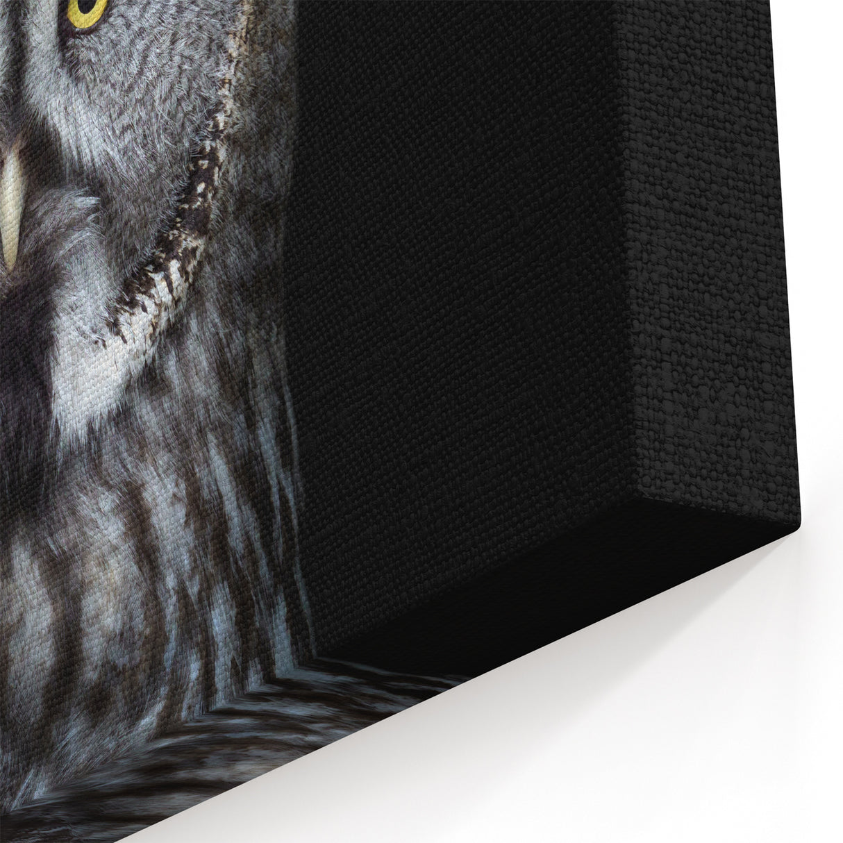 Wise Owl Wall Art - Stunning Owl Photography Canvas & Framed Prints