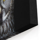 Wise Owl Wall Art - Stunning Owl Photography Canvas & Framed Prints
