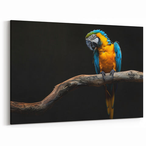 Elegant Blue and Gold Macaw Wall Art - Striking Parrot Canvas Decor