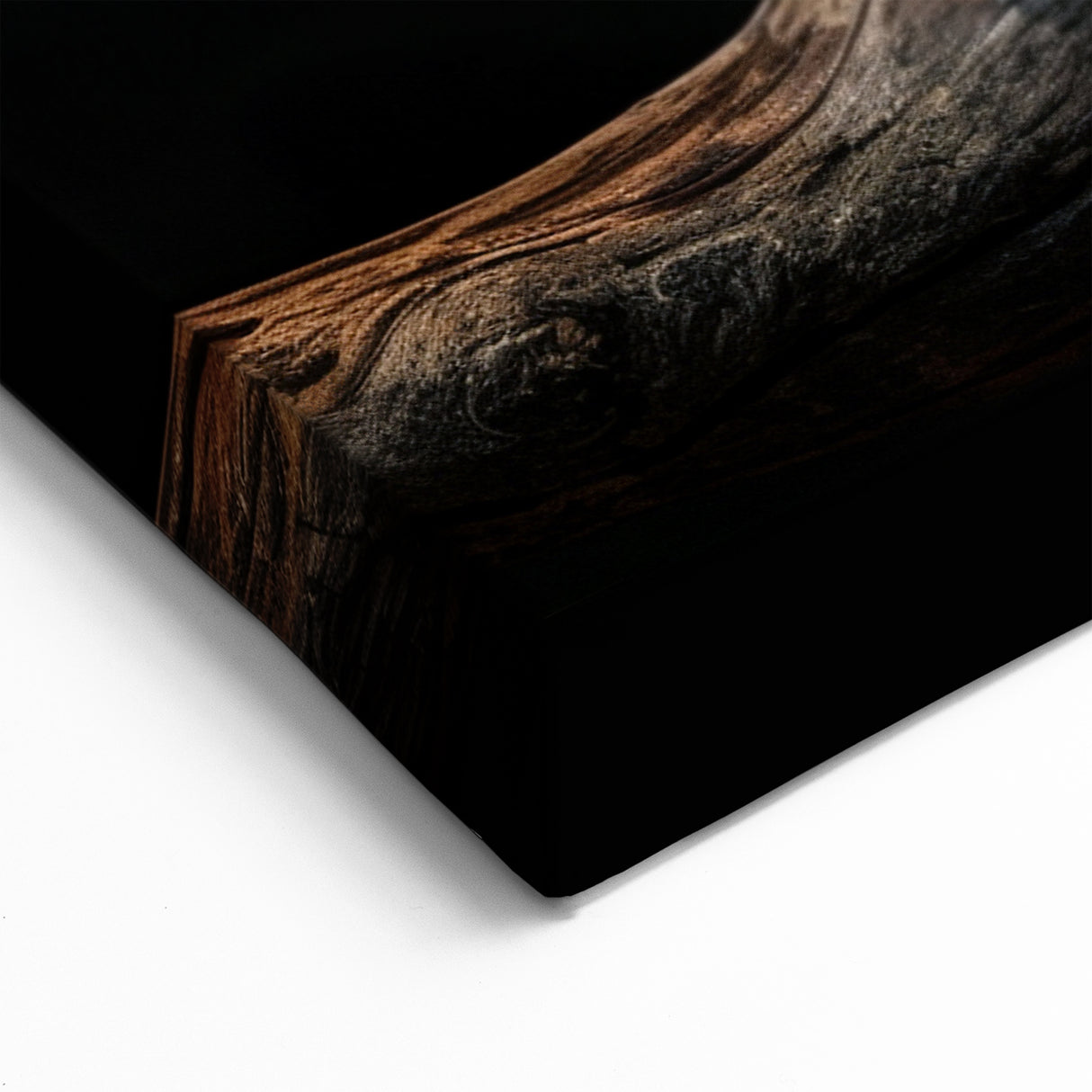 Elegant Blue and Gold Macaw Wall Art - Striking Parrot Canvas Decor