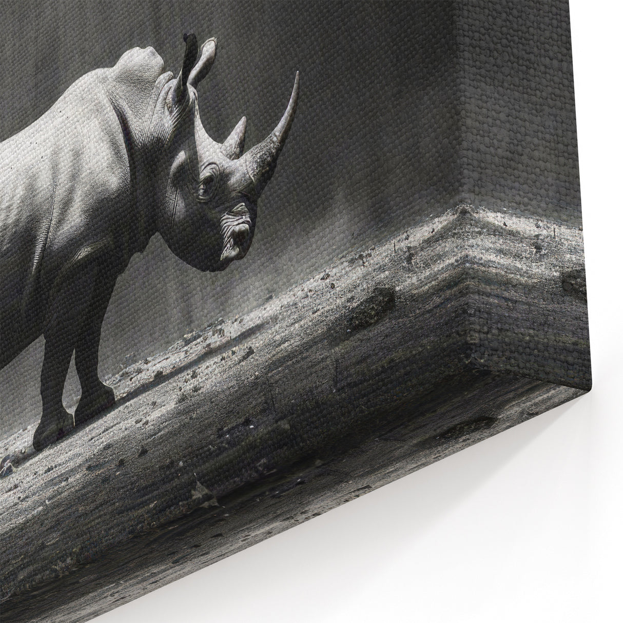 Dramatic Rhino in the Spotlight | Black & White Wildlife Canvas Art