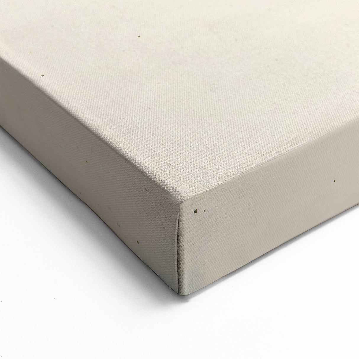 Vibrant Abstract Parrot Wall Art – Tropical Parrot Decor for Creative Spaces