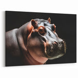 Bold Hippo Portrait - Dramatic Wildlife Canvas & Framed Wall Art