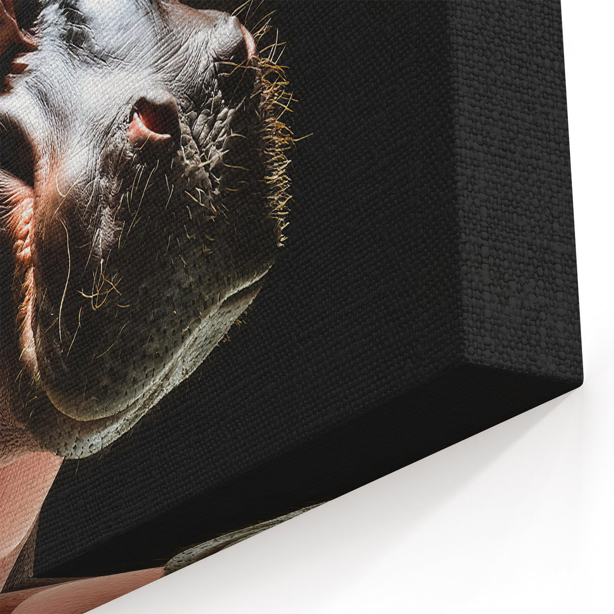 Bold Hippo Portrait - Dramatic Wildlife Canvas & Framed Wall Art