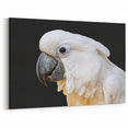 Elegant White Parrot Wall Art – Minimalist Tropical Decor for Modern Spaces