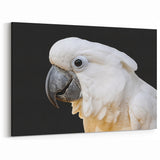 Elegant White Parrot Wall Art – Minimalist Tropical Decor for Modern Spaces