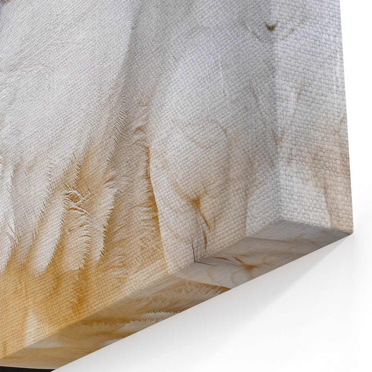 Elegant White Parrot Wall Art – Minimalist Tropical Decor for Modern Spaces