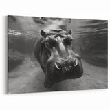 Underwater Hippo Close-Up - Black & White Wildlife Canvas & Prints