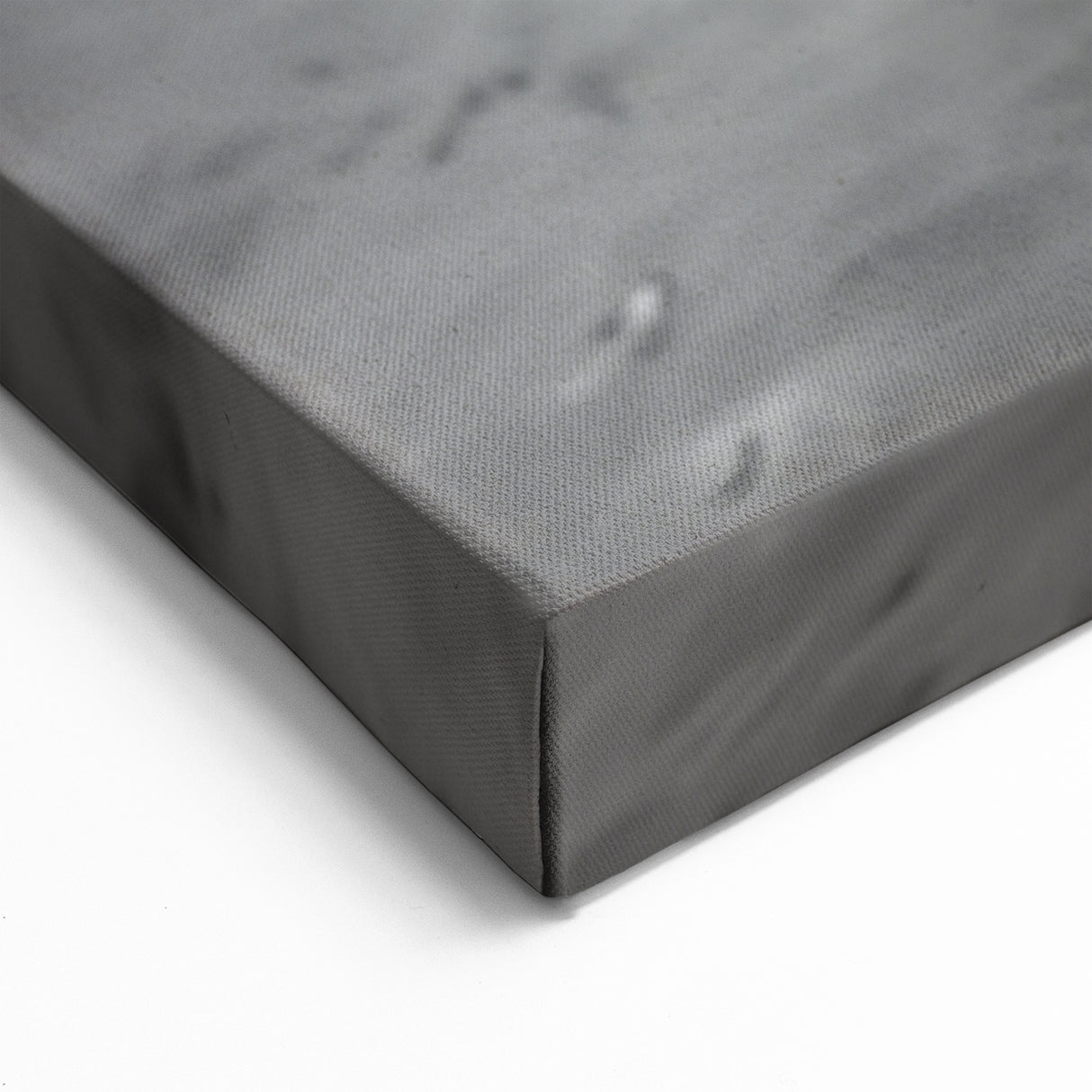 Underwater Hippo Close-Up - Black & White Wildlife Canvas & Prints