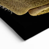 Graceful Hippo Profile Wall Art - Safari Wildlife Canvas & Print