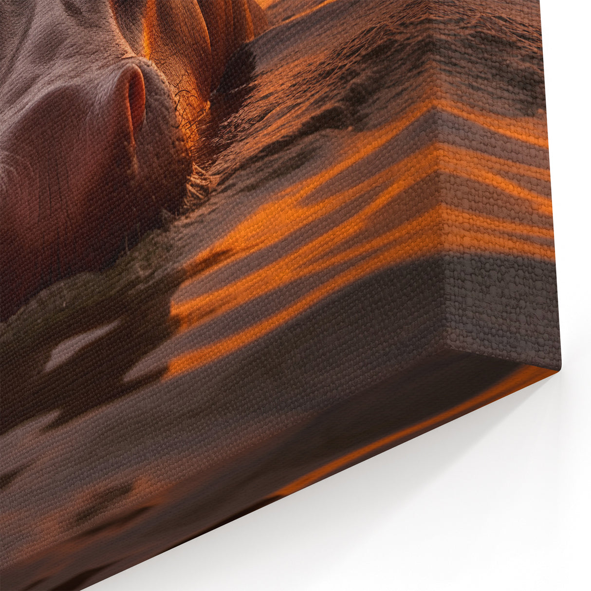 Golden Sunset Hippo - Wildlife Canvas & Framed Wall Art