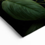 Majestic Parrot Group Wall Art – Elegant Jungle Decor for Dramatic Spaces