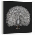 Elegant Peacock Wall Art - Stunning Peacock Print on Canvas & Acrylic