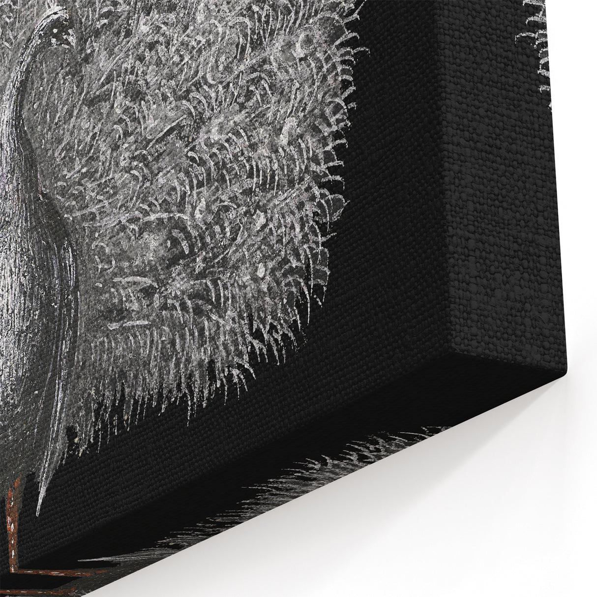 Elegant Peacock Wall Art - Stunning Peacock Print on Canvas & Acrylic