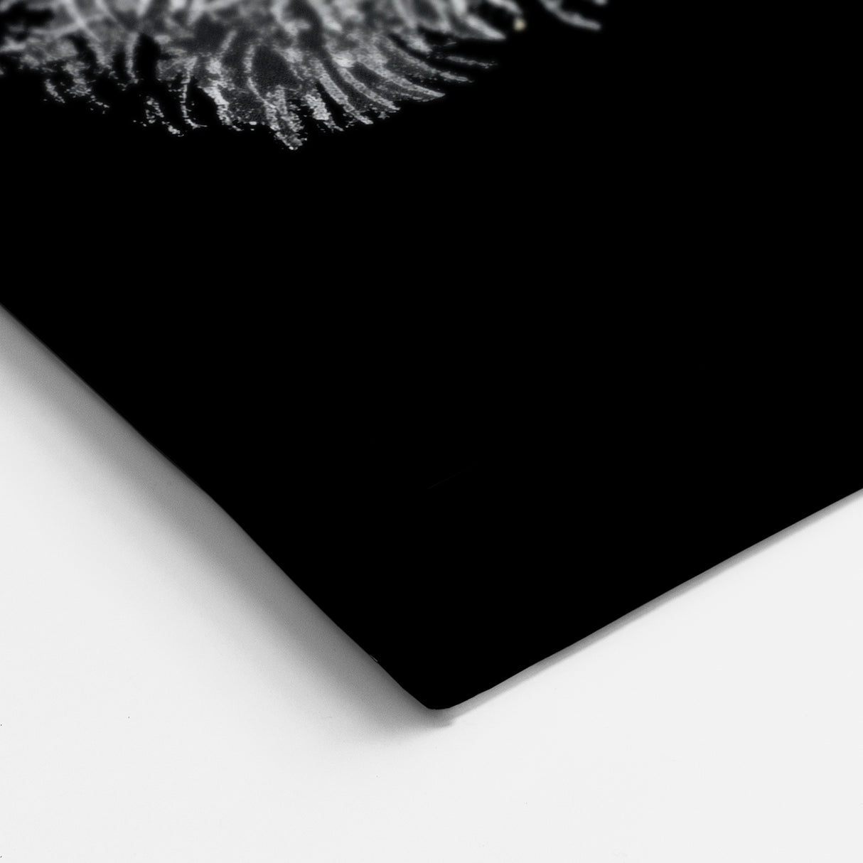 Elegant Peacock Wall Art - Stunning Peacock Print on Canvas & Acrylic