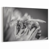 Bee Wall Art - Black and White Bee Canvas Print for Modern Decor