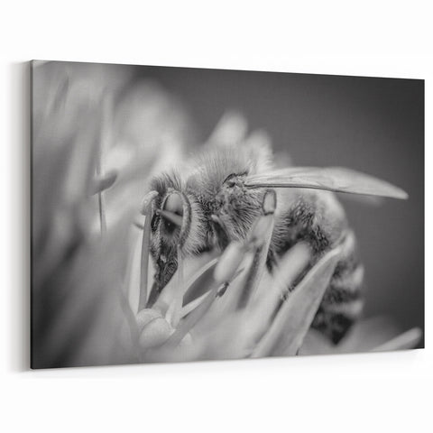 Bee Wall Art - Black and White Bee Canvas Print for Modern Decor