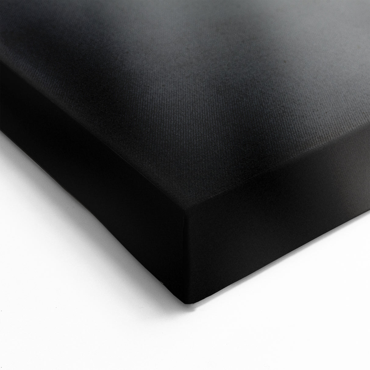 Bee Wall Art - Black and White Bee Canvas Print for Modern Decor