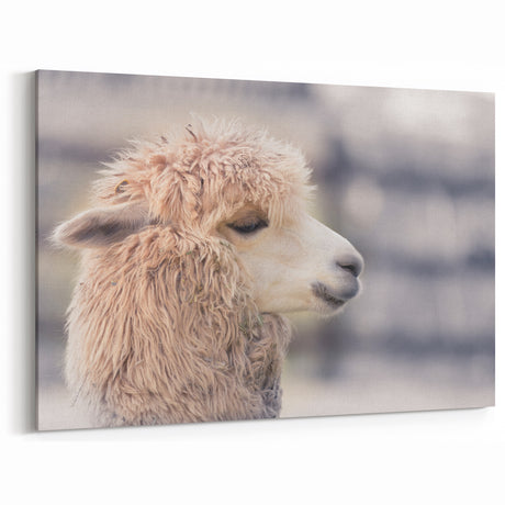 Charming Llama Wall Art - Rustic Canvas & Framed Prints for Farmhouse Decor