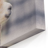 Charming Llama Wall Art - Rustic Canvas & Framed Prints for Farmhouse Decor