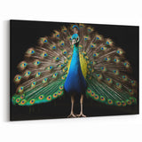 Majestic Peacock Display Wall Art - Bold and Vibrant Canvas Print