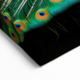 Majestic Peacock Display Wall Art - Bold and Vibrant Canvas Print
