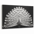 Elegant Peacock Wall Art in Monochrome - Premium Peacock Decor Print
