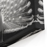 Elegant Peacock Wall Art in Monochrome - Premium Peacock Decor Print