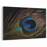 Close-Up Peacock Feather Wall Art - Striking Peacock Decor Print