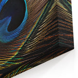 Close-Up Peacock Feather Wall Art - Striking Peacock Decor Print