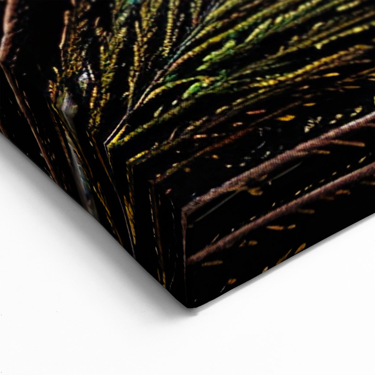 Close-Up Peacock Feather Wall Art - Striking Peacock Decor Print