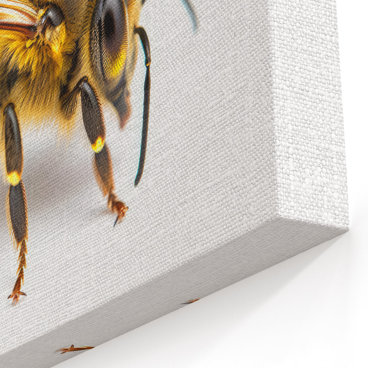 Close-Up Honeybee Wall Art - Minimalist Nature-Inspired Canvas Print