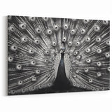 Black and White Peacock Wall Art - Elegant Monochrome Peacock Decor