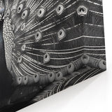 Black and White Peacock Wall Art - Elegant Monochrome Peacock Decor