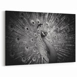 Monochrome Peacock Wall Art - Sophisticated Black and White Decor