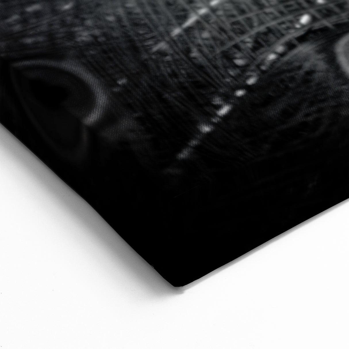 Monochrome Peacock Wall Art - Sophisticated Black and White Decor