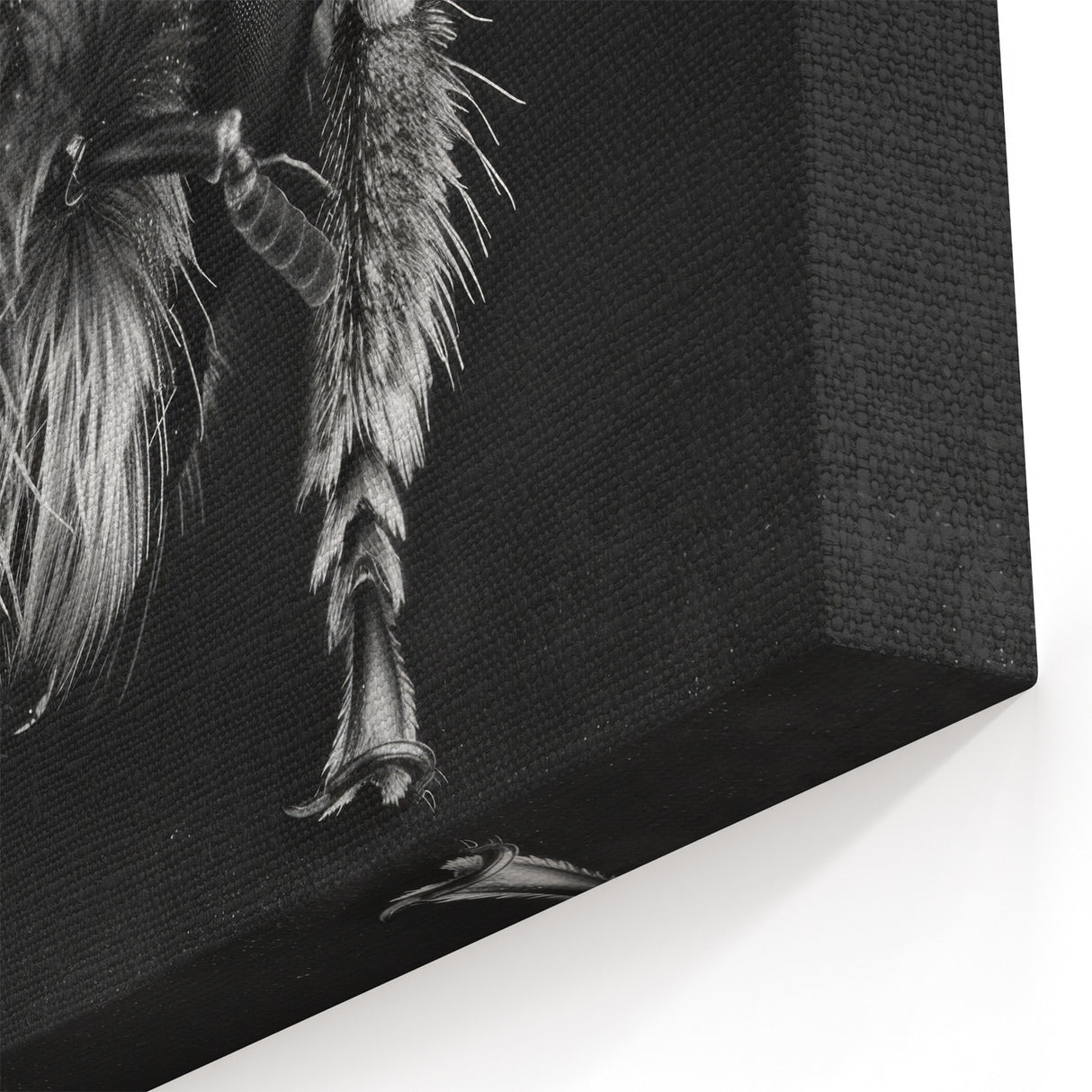 Bee Framed Art - Monochrome Close-Up Bee Photography for Modern Decor