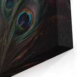 Close-Up Peacock Feather Art - Elegant and Vibrant Peacock Decor