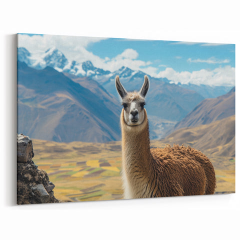 Mountain Llama Wall Art - Scenic Canvas & Framed Prints for Nature Decor