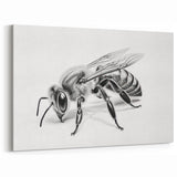 Bee Art Poster - Minimalist Black and White Bee Illustration for Home Decor